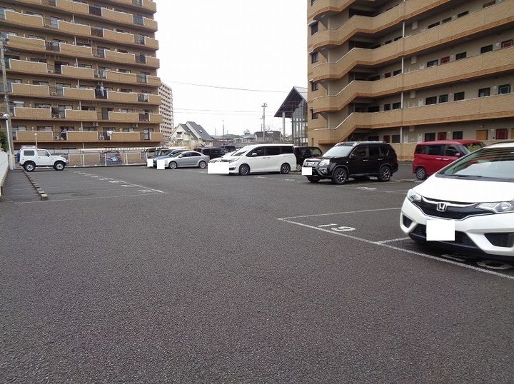 マルイマーガレットのその他画像