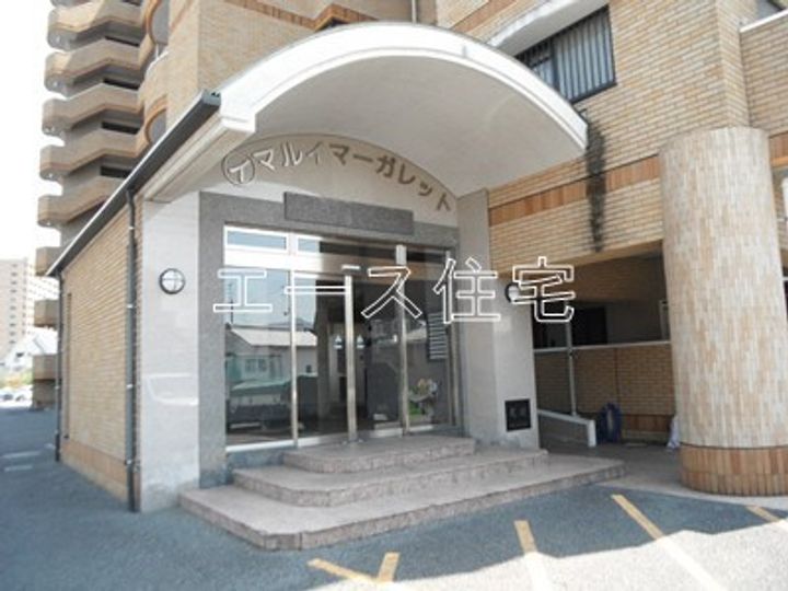 マルイマーガレットのその他画像