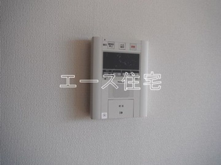 マルイマーガレットのその他画像