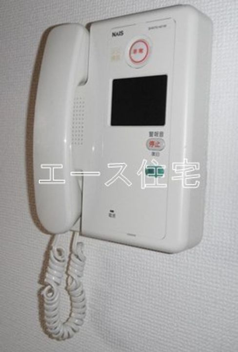 マルイマーガレットのその他画像