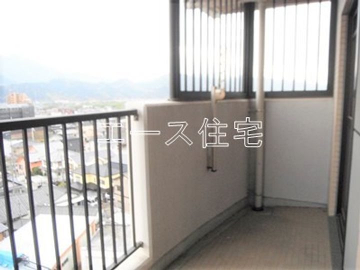 マルイマーガレットのその他画像