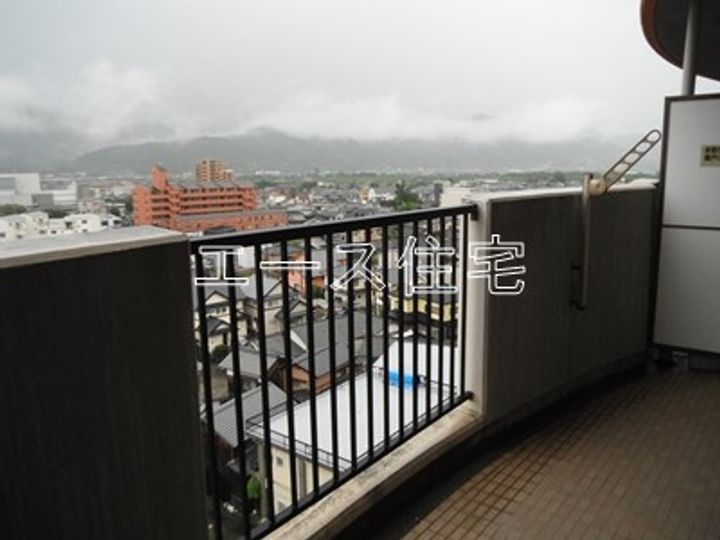 マルイマーガレットのその他画像