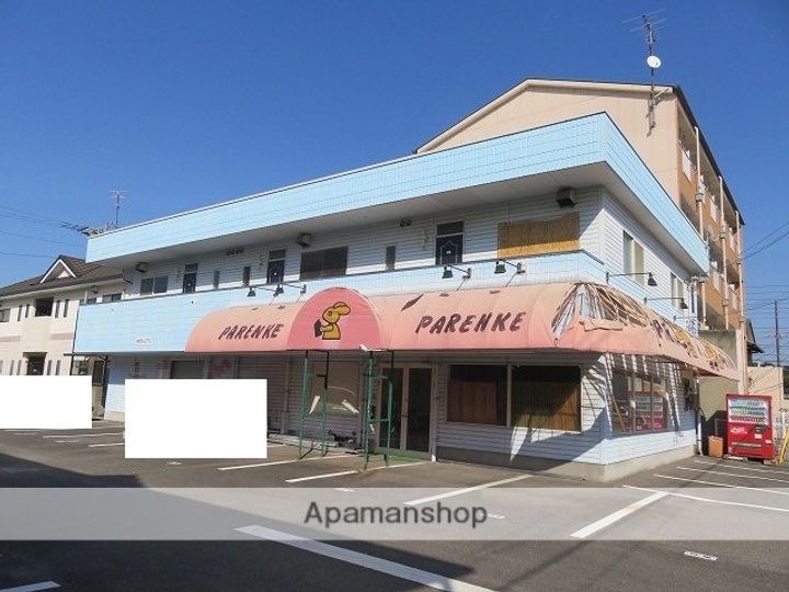 弁財天ルピアスのその他画像