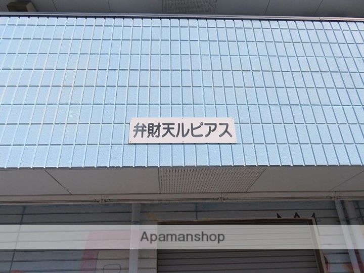 弁財天ルピアスの外観