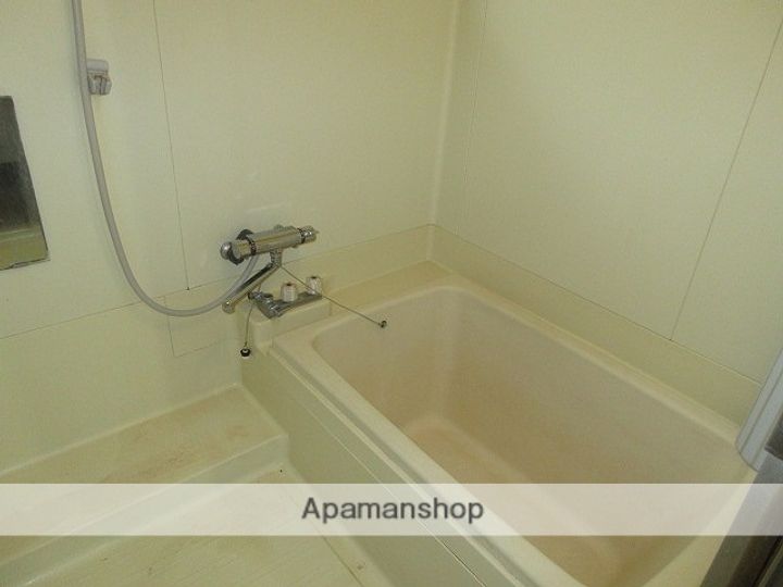 愛媛県西条市喜多川(一戸建)の賃貸物件の風呂