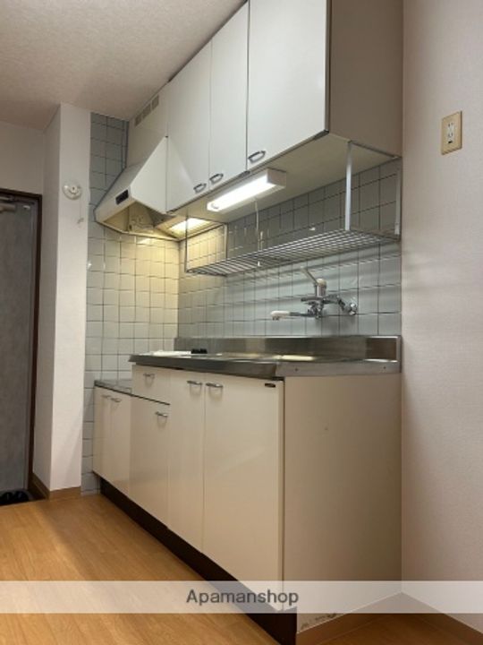 エクセレントオカザキ102のキッチン