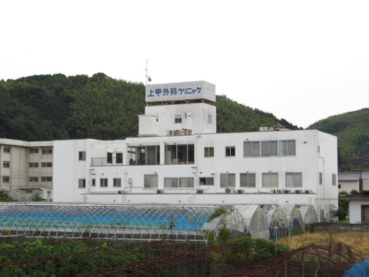 ミモザの周辺