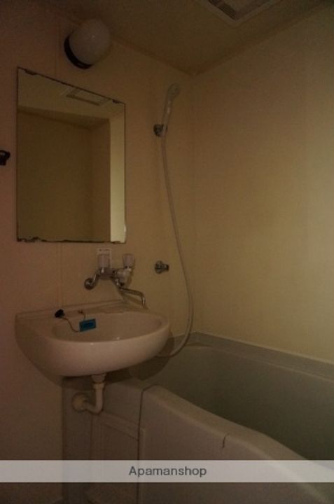 メゾン・ド・メシュー403の内装