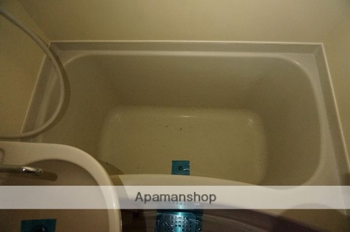 メゾン・ド・メシュー403の風呂