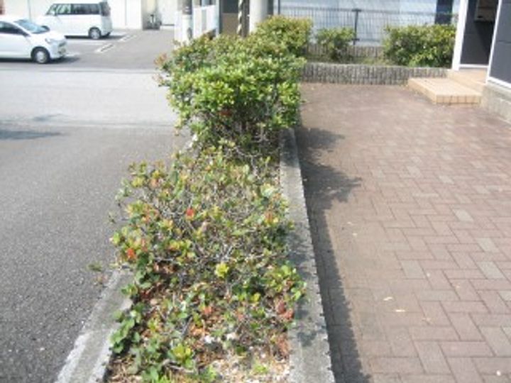 レオパレスエクレール福井201のその他画像