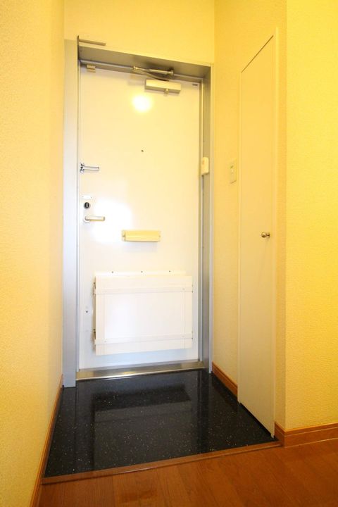 レオパレス南国1番館205の玄関