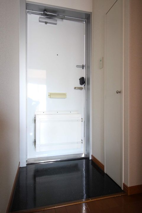 レオパレス弥生110の玄関