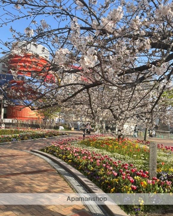 メゾン住吉の周辺