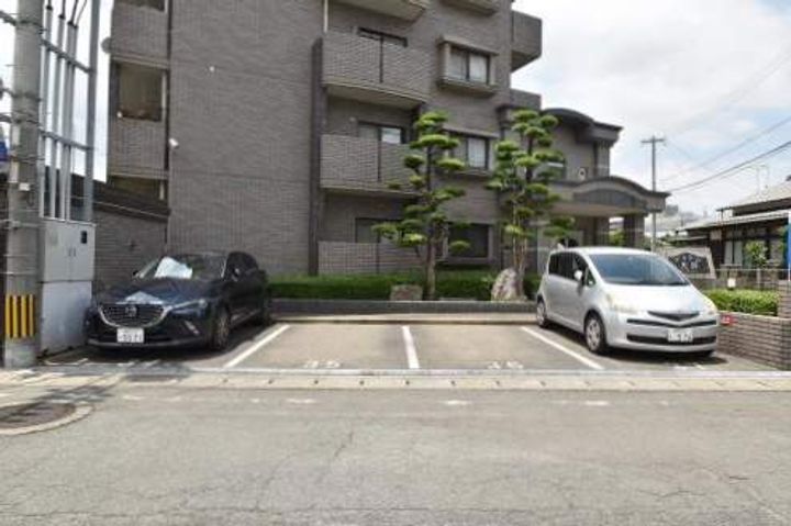 ディナスティⅧの外観