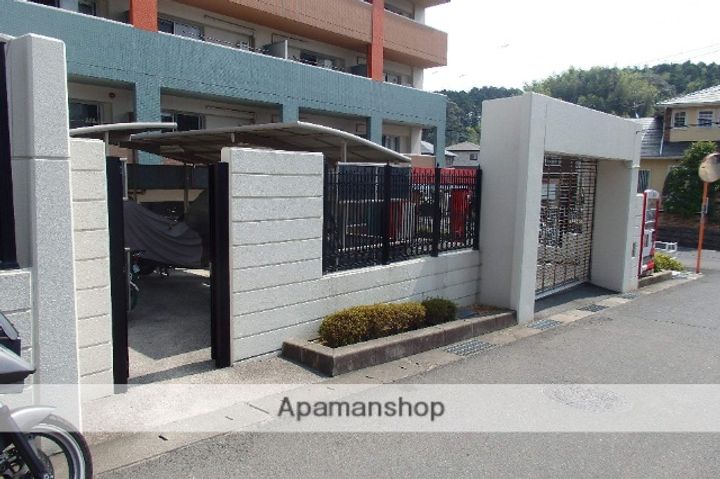 レジェンド桜のその他画像