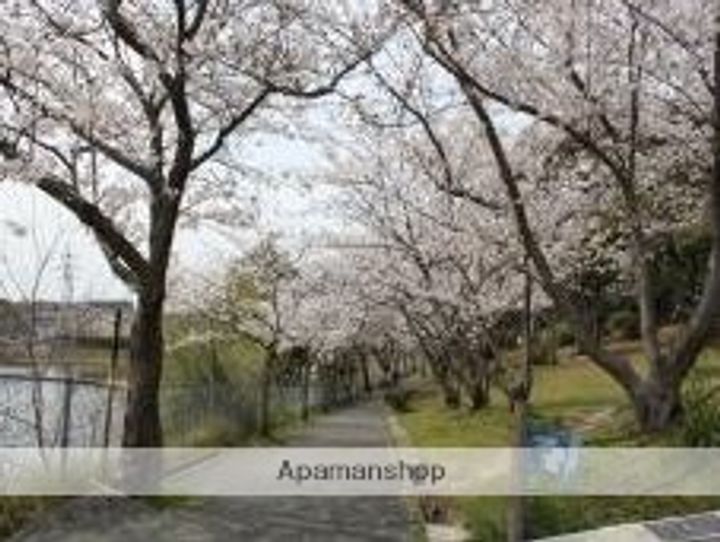 シティーハウス飛鳥の周辺