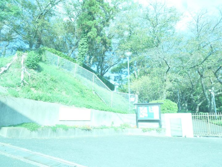 ミレニアムⅡの周辺