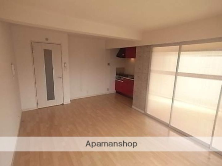 福岡県福岡市南区塩原1丁目の賃貸マンションの内装