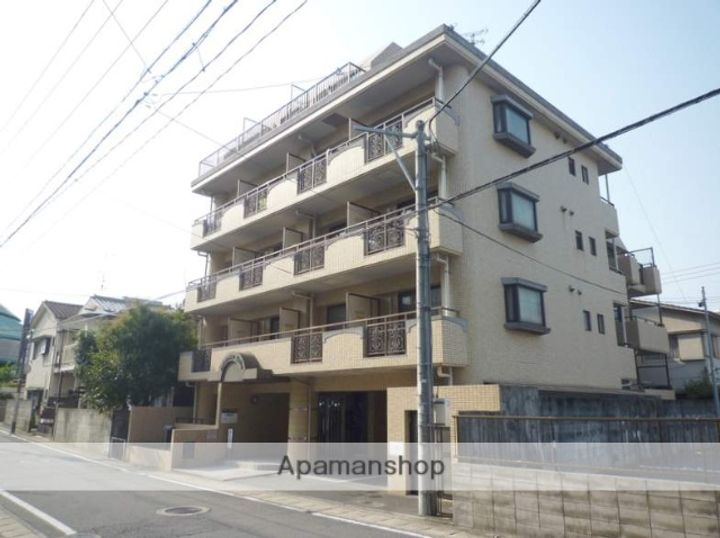 福岡県福岡市南区平和2丁目の賃貸マンションの内装