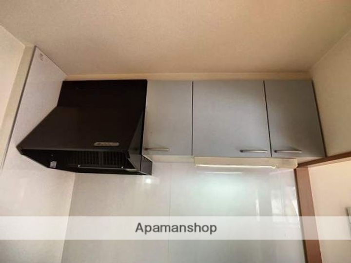 福岡県福岡市南区屋形原1丁目の賃貸マンションの内装