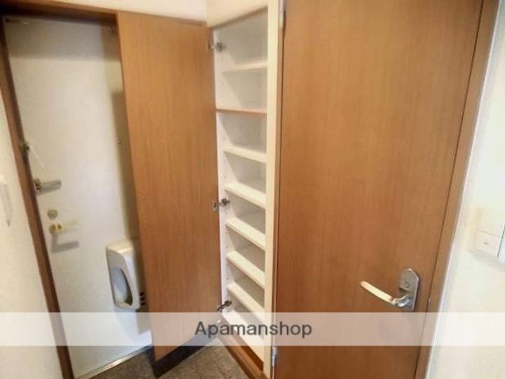 福岡県福岡市南区屋形原1丁目の賃貸マンションの内装