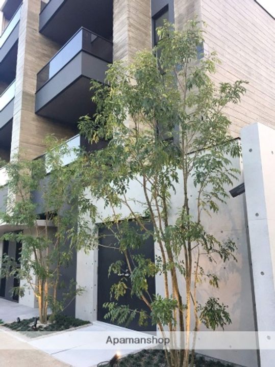 福岡県福岡市中央区六本松2丁目の賃貸マンションの外観