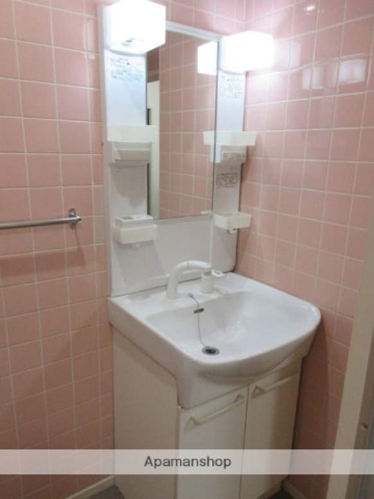 福岡県福岡市南区向野1丁目の賃貸マンションの内装