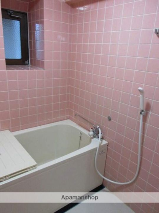 福岡県福岡市南区向野1丁目の賃貸マンションの風呂
