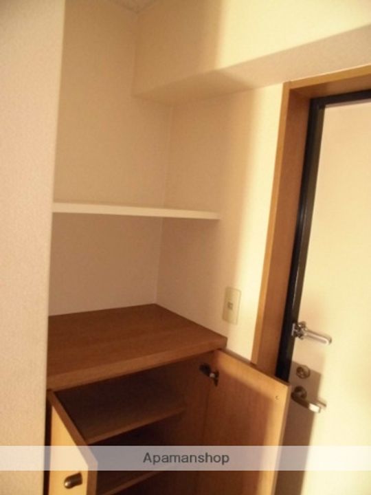 福岡県大野城市白木原1丁目の賃貸マンションの内装