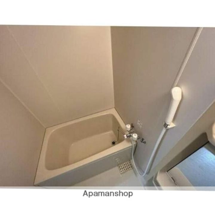 福岡県福岡市南区桧原1丁目の賃貸アパートの風呂