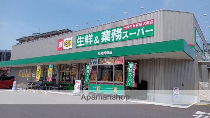 福岡県福岡市南区野多目1丁目(一戸建)の賃貸物件の周辺