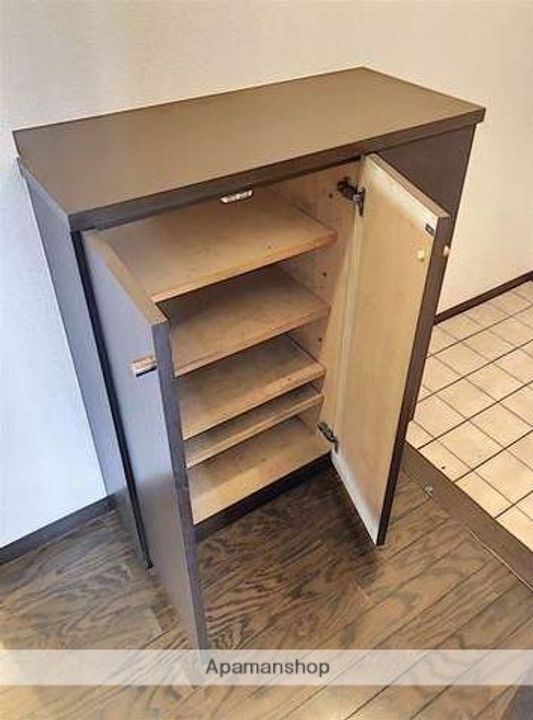 福岡県福岡市南区野間1丁目の賃貸マンションの内装