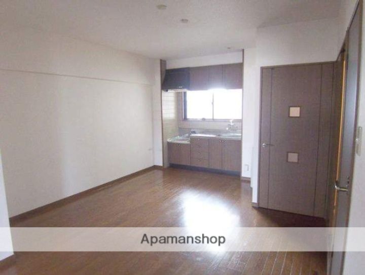 福岡県春日市宝町2丁目の賃貸マンションの内装