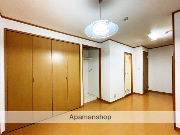 福岡県福岡市南区柳河内2丁目の賃貸アパートの内装