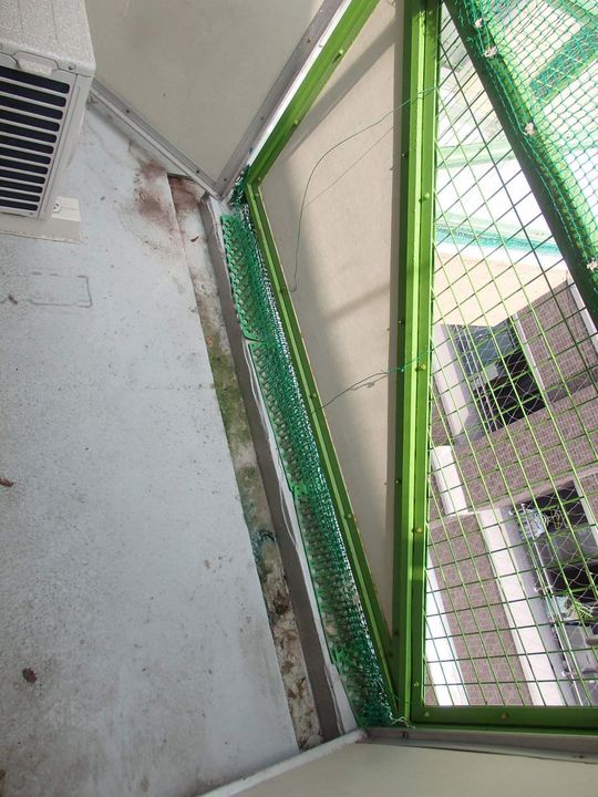 福岡県古賀市天神1丁目の賃貸マンション506の内装