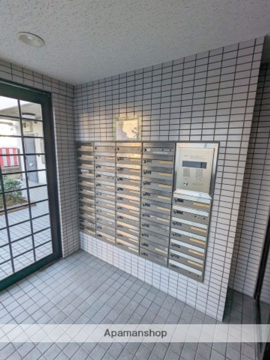 福岡県福岡市南区大楠1丁目の賃貸マンションの内装