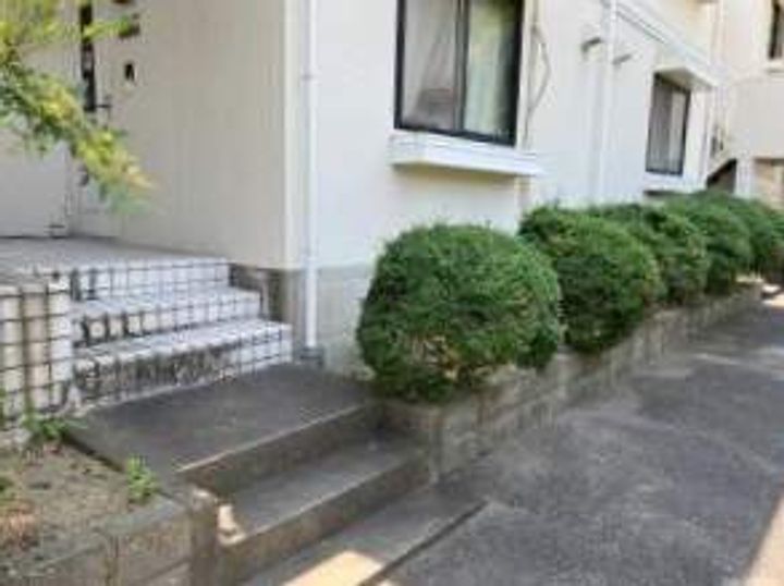 福岡県福岡市南区野間3丁目の賃貸アパートのその他画像