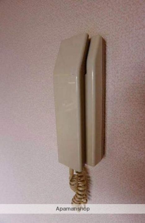 福岡県太宰府市通古賀6丁目の賃貸マンション403の内装