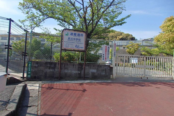 パインテール平和501の周辺