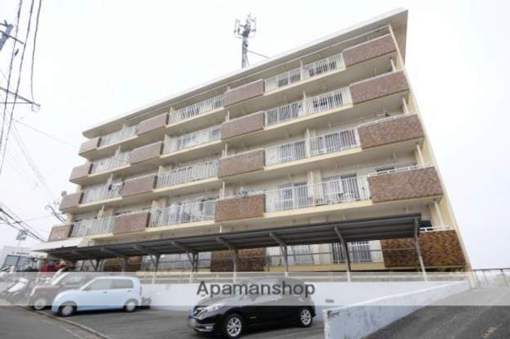 福岡県福岡市南区老司1丁目の賃貸マンションの外観