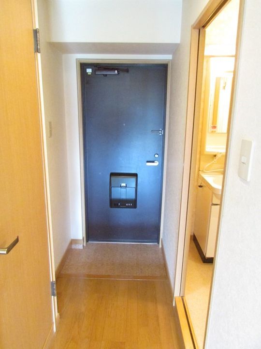 福岡県福岡市博多区博多駅南5丁目の賃貸マンションの内装