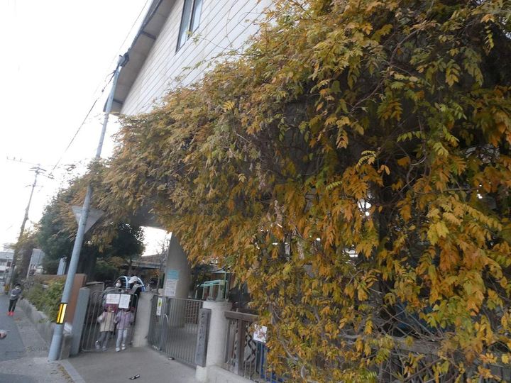 ステラ箱崎611の周辺