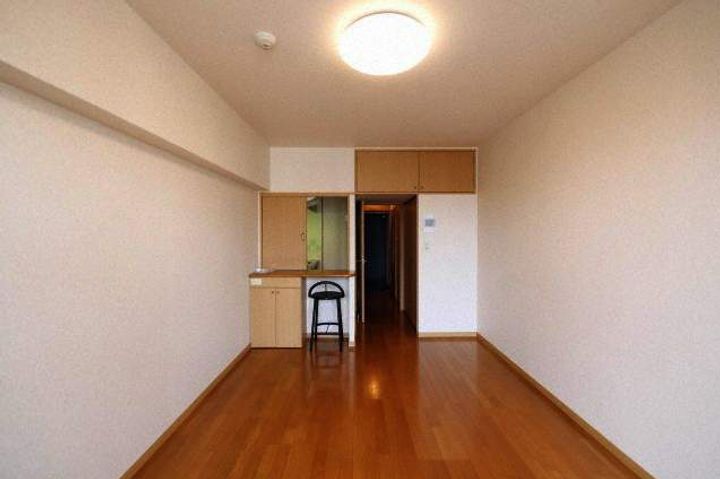 福岡県福岡市中央区薬院4丁目の賃貸マンションの内装