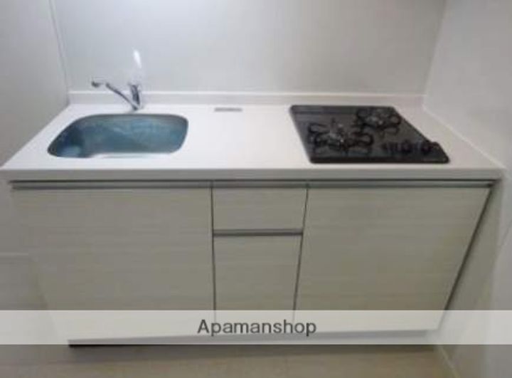 福岡県福岡市中央区舞鶴1丁目の賃貸マンションのキッチン