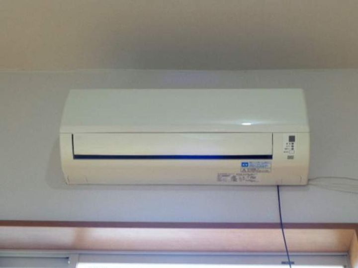ドリームクローバーのその他画像