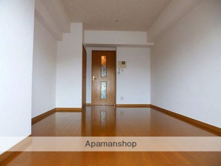 福岡県福岡市博多区春町1丁目の賃貸マンションの内装