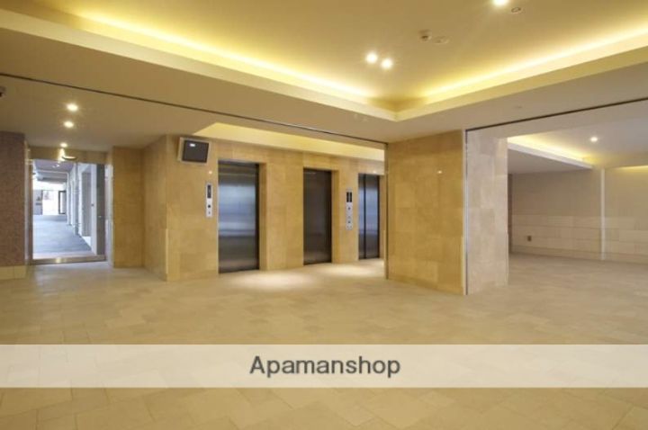 サヴォイ テンジンスクワイヤーのその他画像