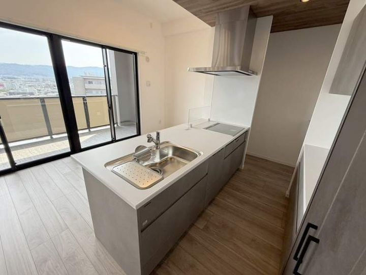 福岡県福岡市南区大橋2丁目の賃貸マンションのキッチン