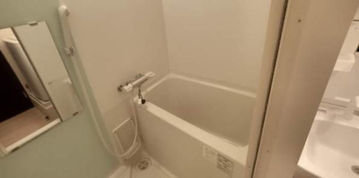 レオネクストアリエッタ桜橋206の風呂