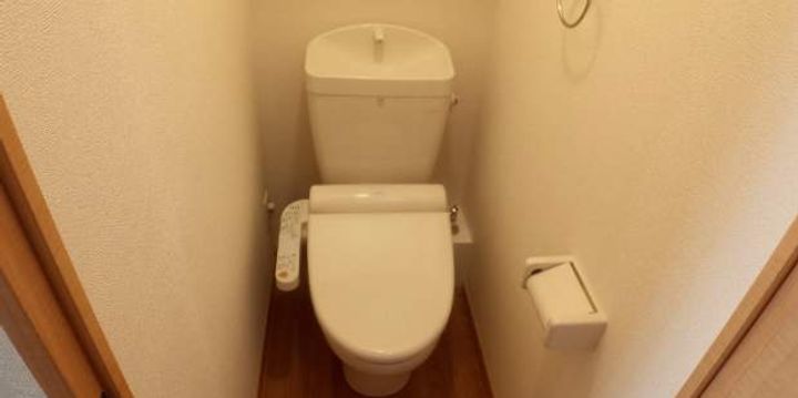 レオパレスRURINA304の内装